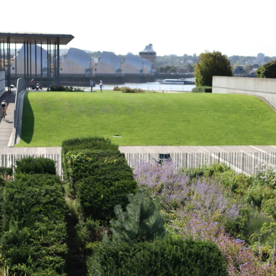 photo-1604254925298-effe791a1fad